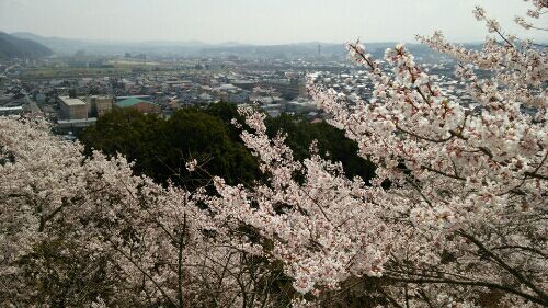 rblog-20180403162943-01.jpg