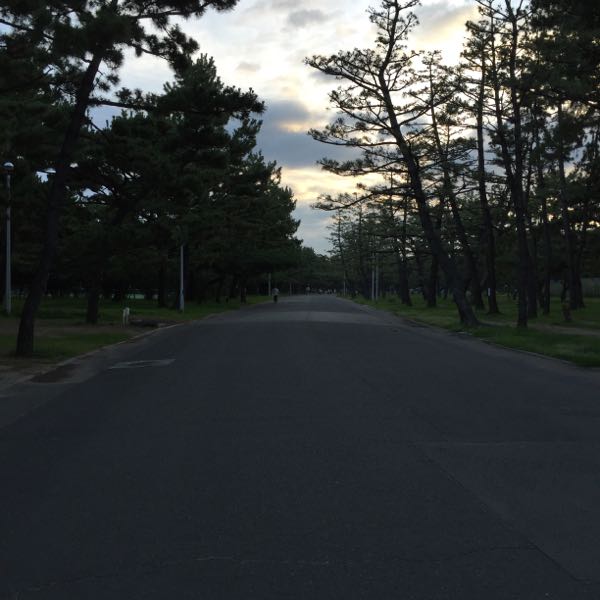 rblog-20160706064900-02.jpg