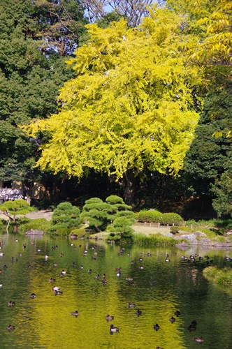 清澄庭園