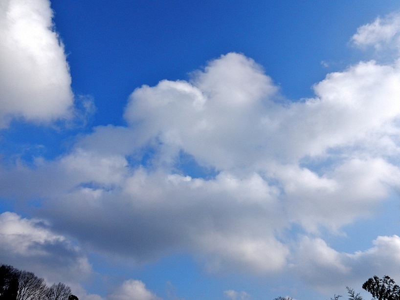 空5.JPG