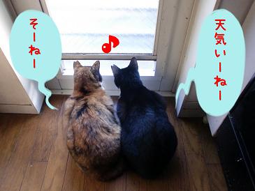 天気.JPG