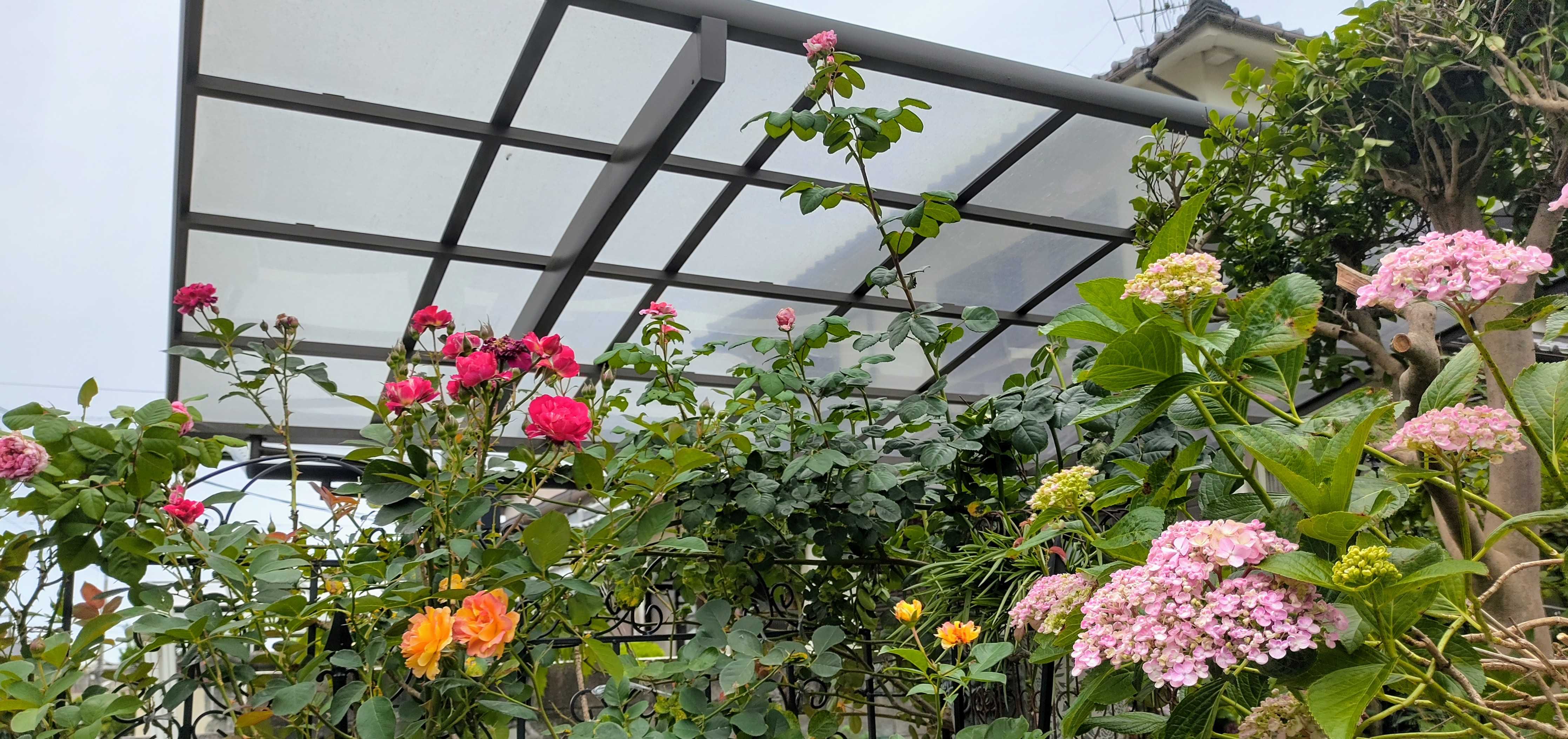 夏のお花瑠璃玉アザミと紫陽花の涼しげなハーフリース。ドライ