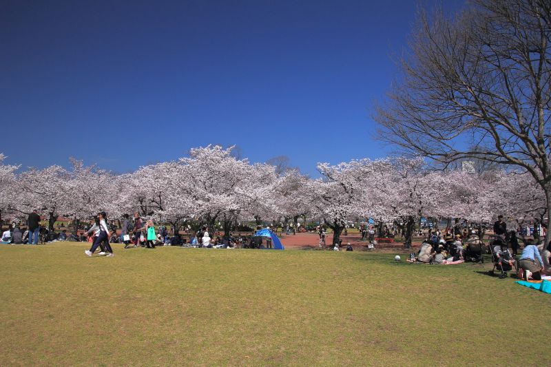 万博記念公園_002.jpg