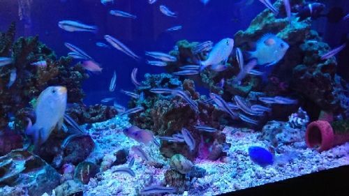 rblog-20170613162915-02.jpg