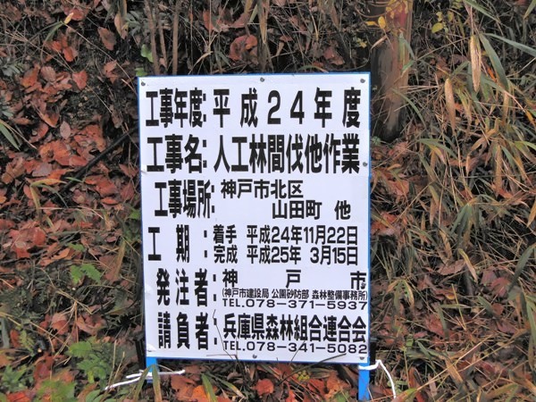 防災林