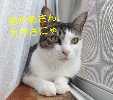 20120918_4.jpg