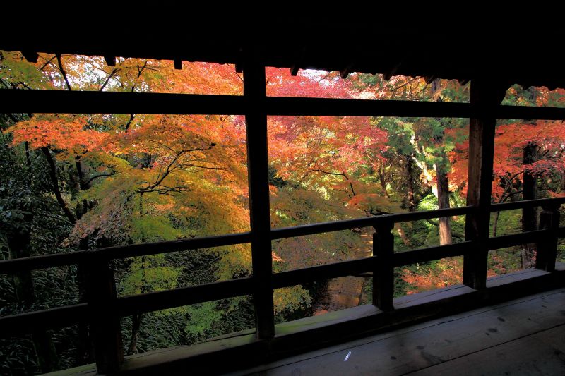 えんげつ橋_004.jpg