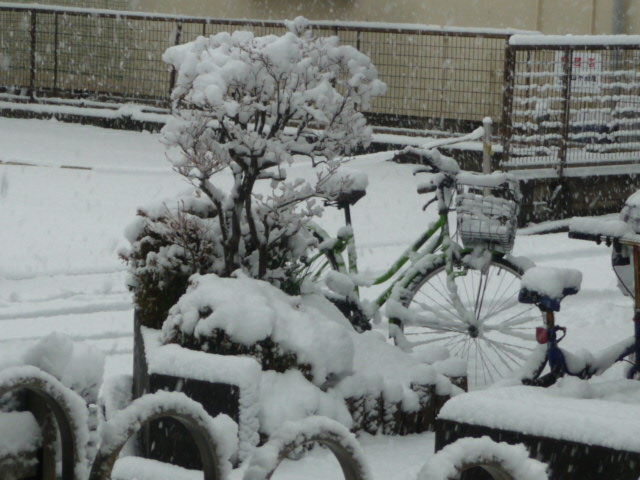 340 雪景色