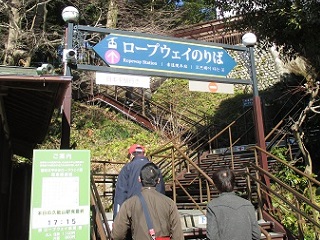 66.jpg
