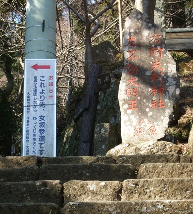 DSCF9037.JPG