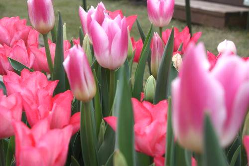 2015041602.JPG