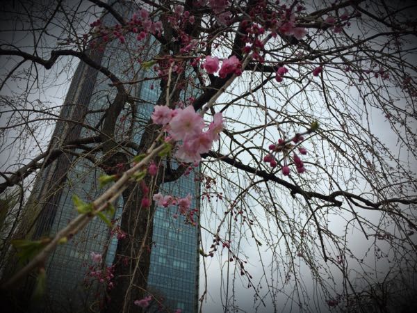 rblog-20160401182958-09.jpg