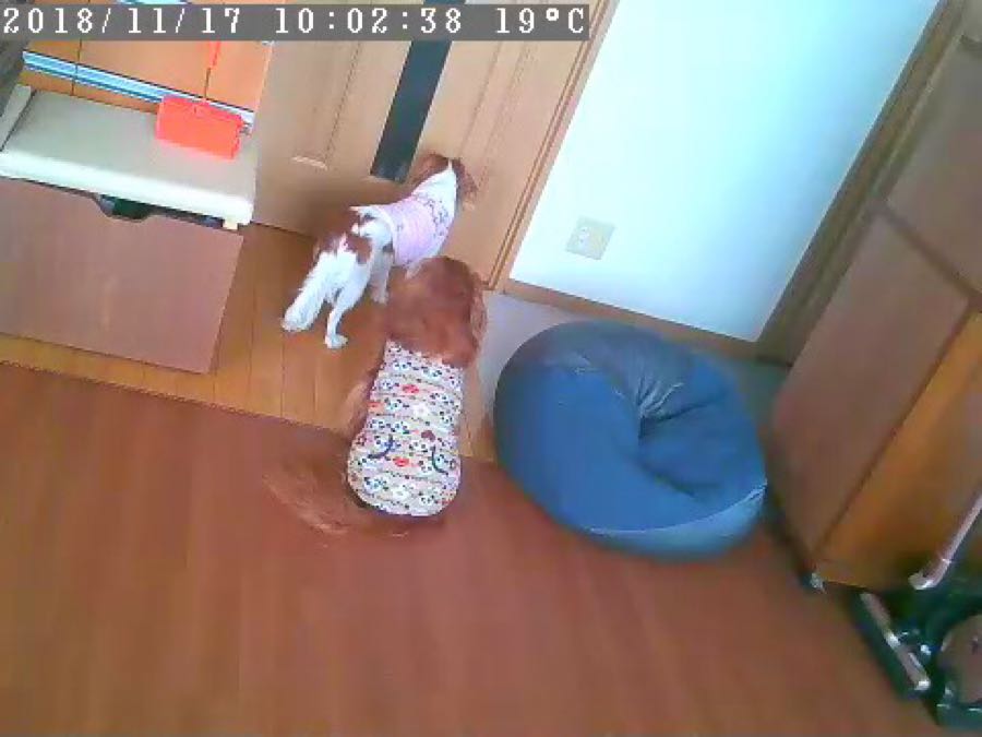 rblog-20181117145648-02.jpg