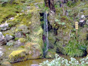 ginkakuji-15