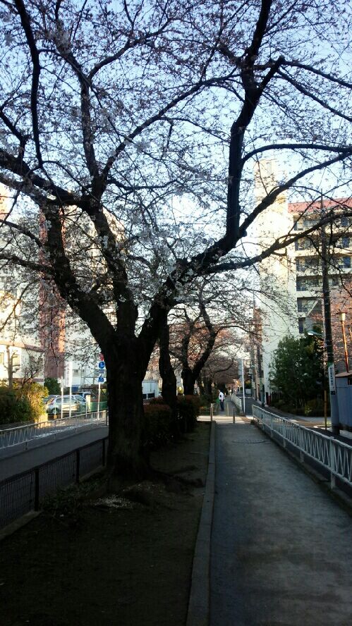 rblog-20150327095913-01.jpg