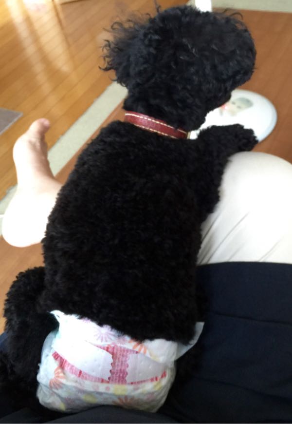rblog-20160810190326-08.jpg