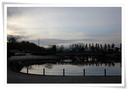 大野湊緑地公園-2 15.1.21