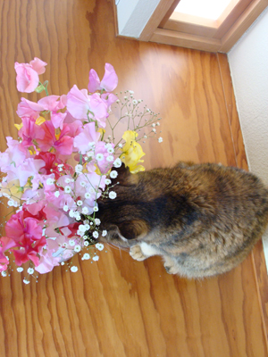 画像-4938.jpg