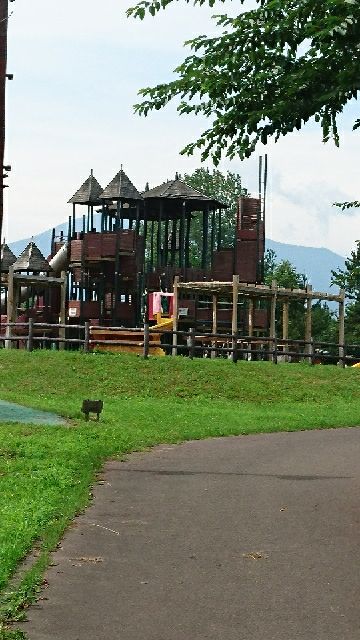 rblog-20180722204920-01.jpg