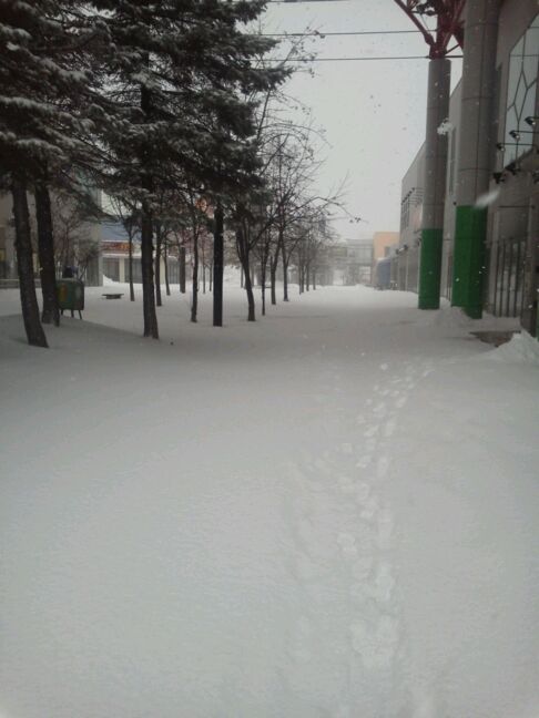 rblog-20141212130422-00.jpg