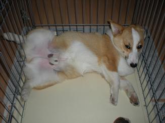 DSCN21591.JPG