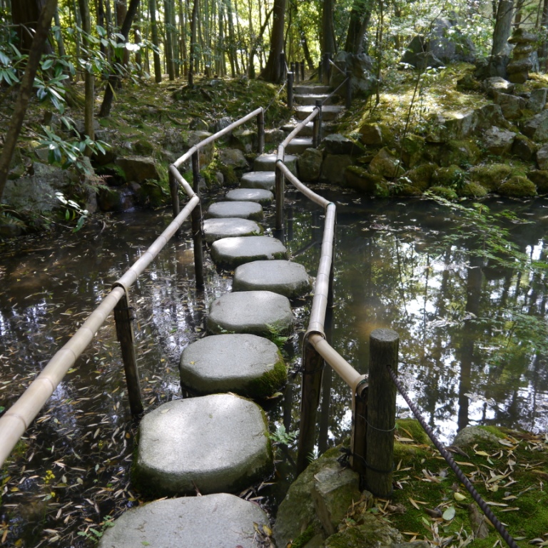 P1070364.JPG