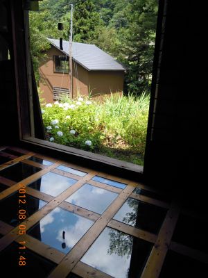 DSCN1016_400.jpg