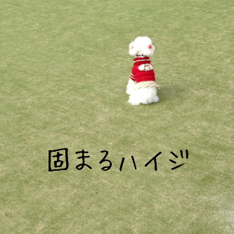IMG_5846.png