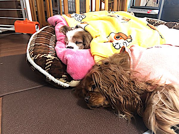 rblog-20180124144046-03.jpg
