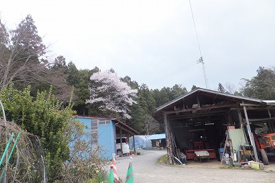 DSCF3327.jpg