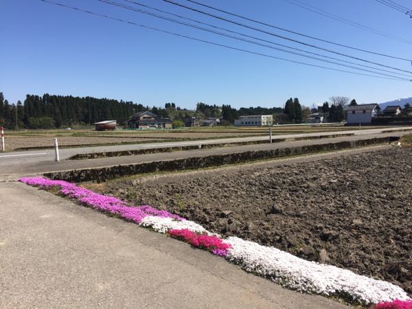 rblog-20170430003417-01.jpg