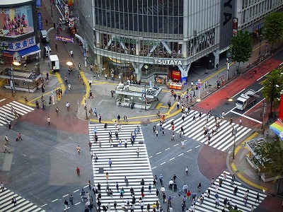 P1090936.jpg