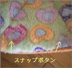 スナップボタンが付いてます