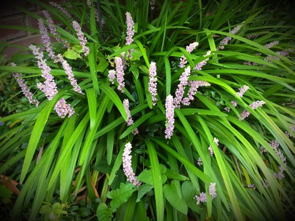 rblog-20150728202854-00.jpg