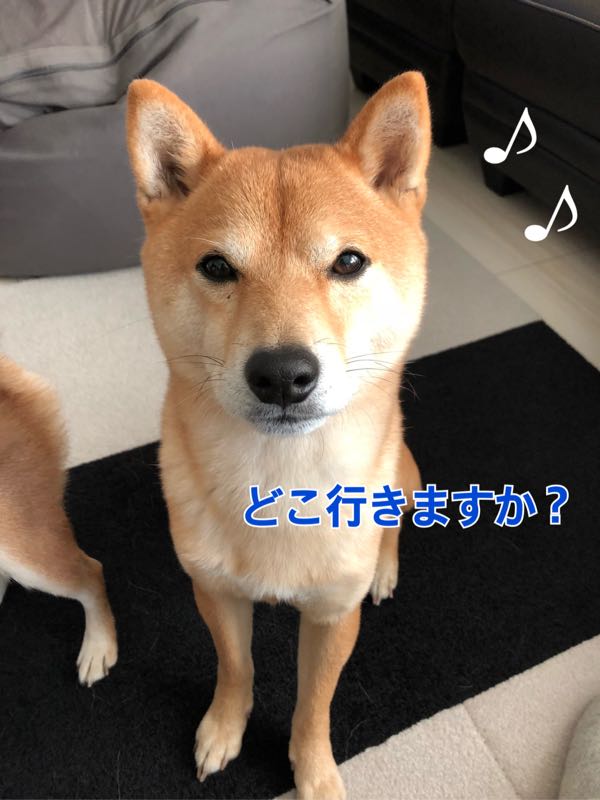 rblog-20171229035334-00.jpg