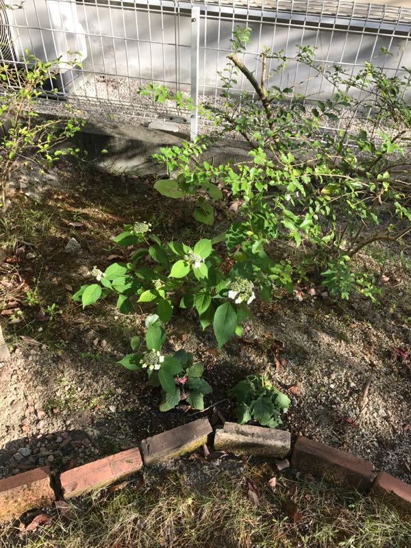 rblog-20170519001250-02.jpg