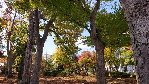 岩手公園 盛岡城跡公園 の紅葉 盛岡 紅葉 岩手公園 盛岡城跡公園 りょうちんのブログ 楽天ブログ