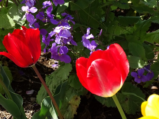 2015.04.18-3.JPG