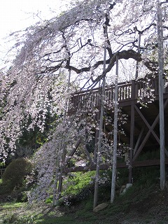 福島市・慈徳寺4