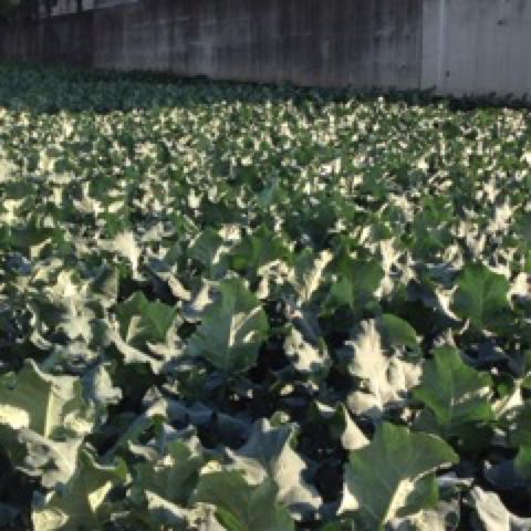 rblog-20141028154455-01.jpg