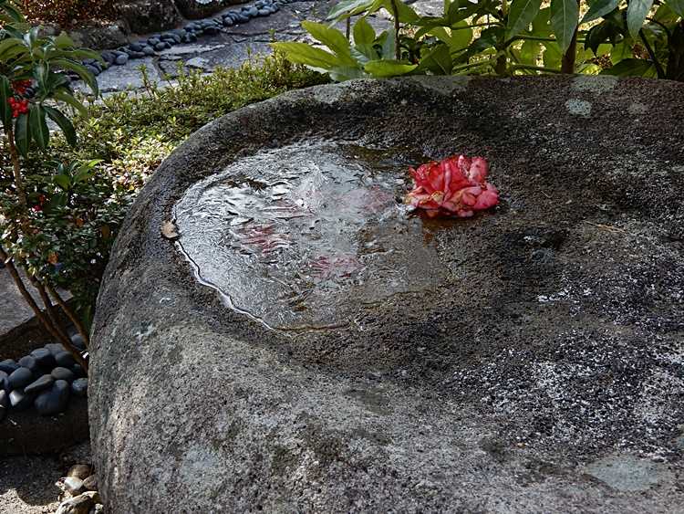 庭の氷3