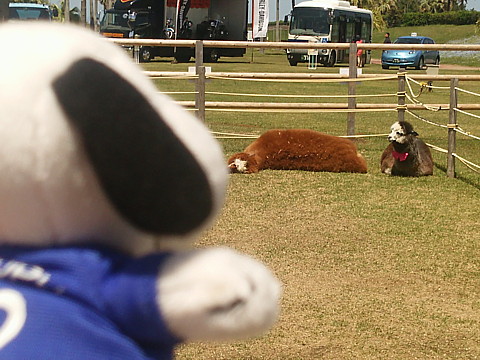 IMG_20160417_120946.jpg