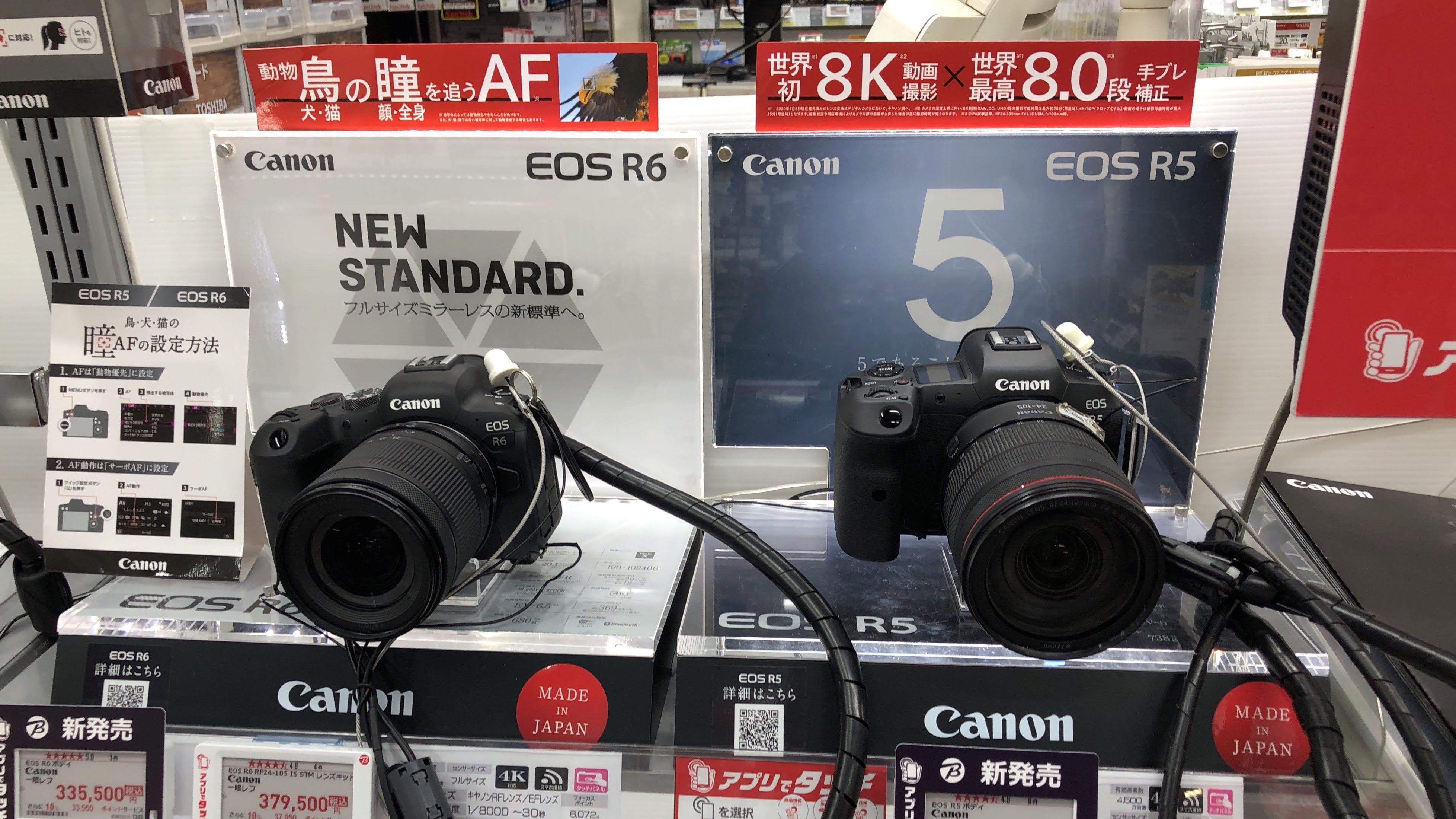 池袋 ビックカメラ カメラ館にて Eos R6 R5 Suzupaku 楽天ブログ