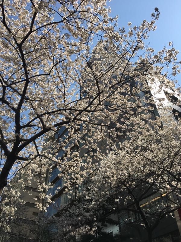 rblog-20180327035419-04.jpg