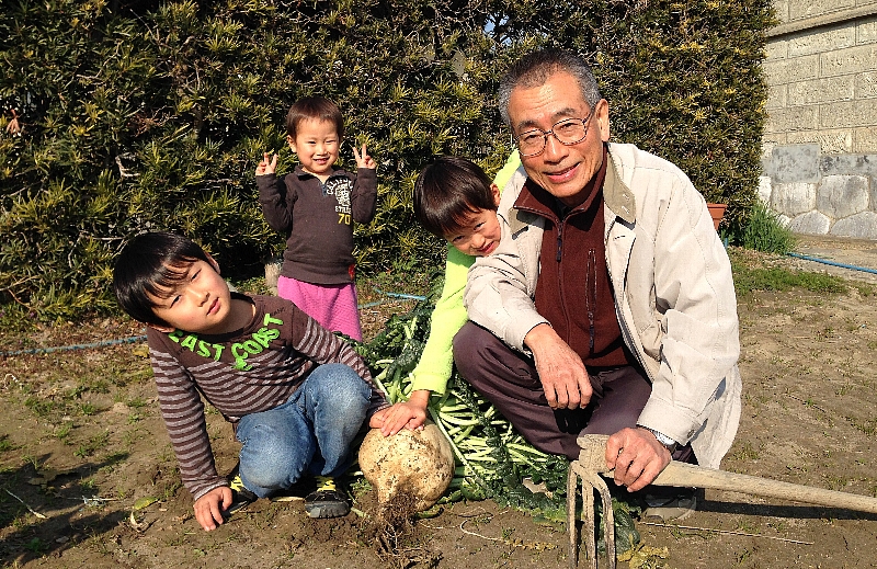2013.12.31 桜島大根７.jpg