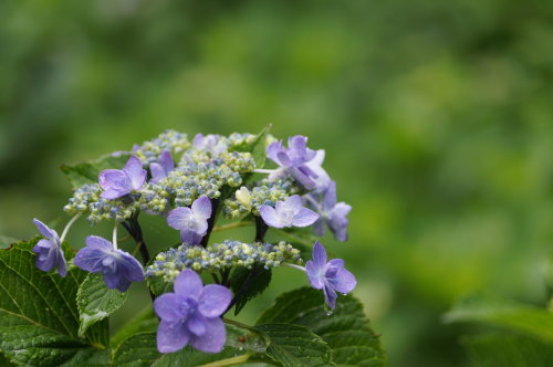 20140618_37.jpg