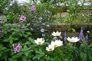 P1080035ss.jpg