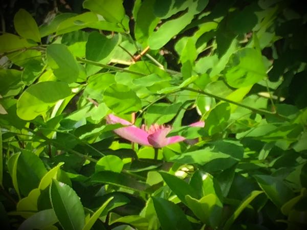 rblog-20160531165029-07.jpg