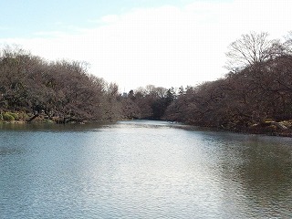 公園.jpg