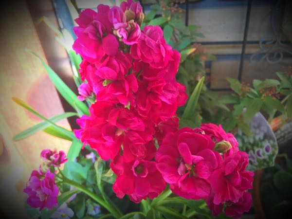 rblog-20160225162452-00.jpg